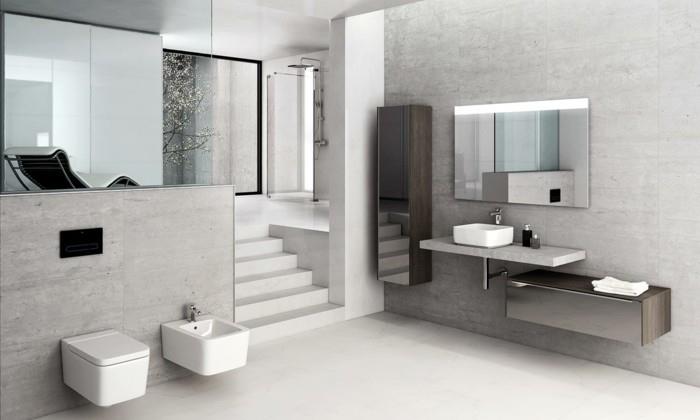 roca-vonios kambarys-veidrodis-šviečianti juostelė-roca-vonios kambarys-veidrodis-blyškiai pilka