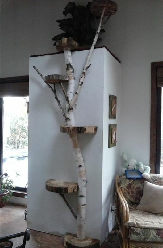 kedi-ağacı için mobilya-kedi-için-huş-tasarım-orijinal