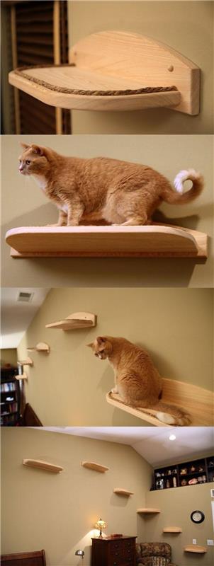 kedi-mobilya-duvar-kedi merdivenleri