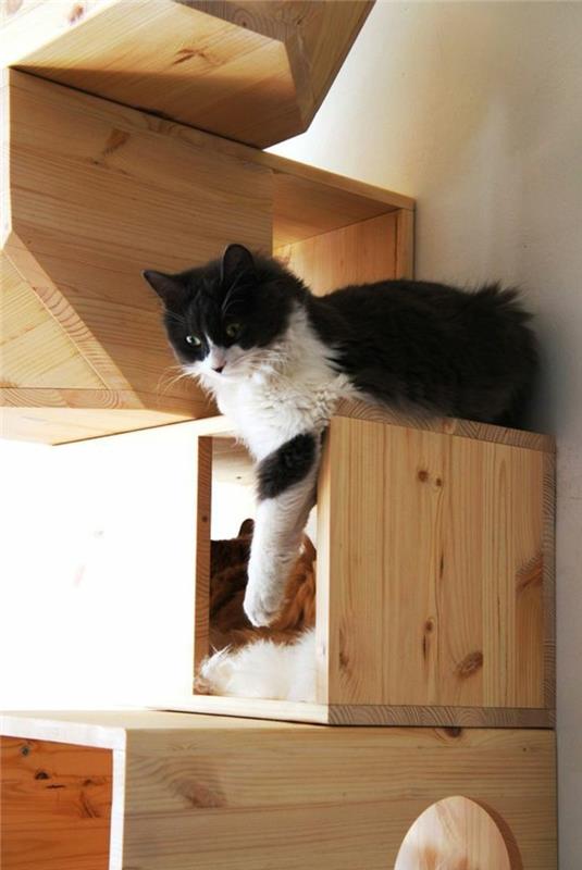 kedi-mobilya-etzgere-duvar-tahta-kediler için