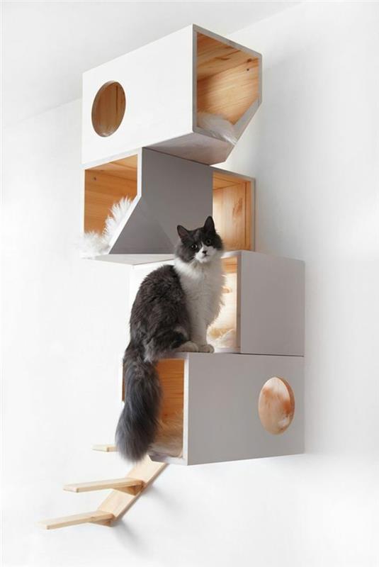 kedi-mobilya-güzel-duvar-tasarım-kedi-raf