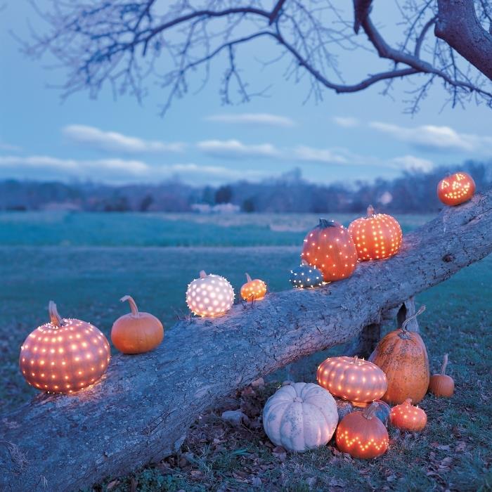çeşitli parlak turuncu kabak modelleri ile cadılar bayramı için açık alan dekorasyonu