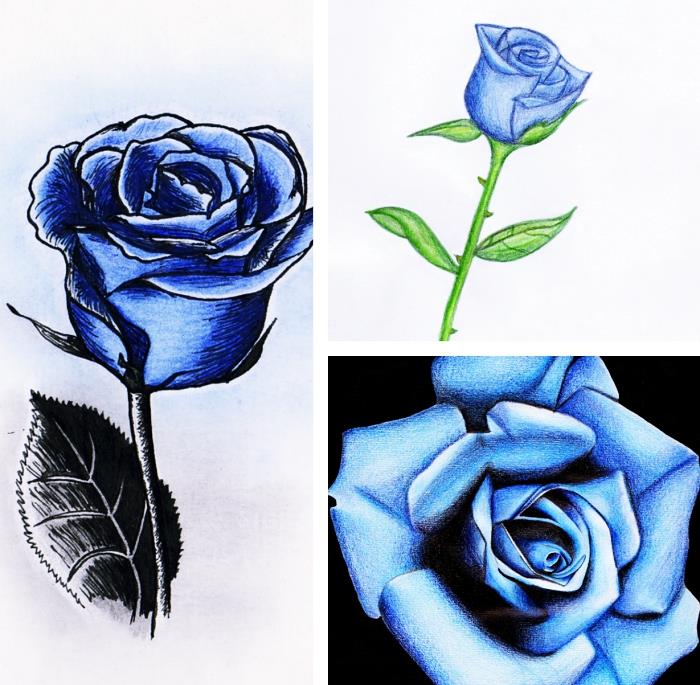 primer risanja modre vrtnice s svinčnikom, kako narisati odprto ali zaprto vrtnico, tehnika, kako zlahka narisati cvet