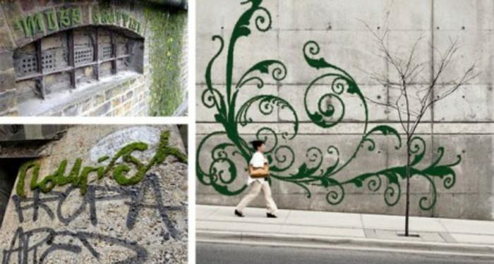 grafiti-rastlina-gojenje-zelenjava-mah-v mestih