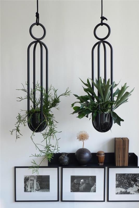 metal iç mekan bitkileri için destek modeli, siyah nesnelerle beyaz duvarlı modern oda dekorasyonu