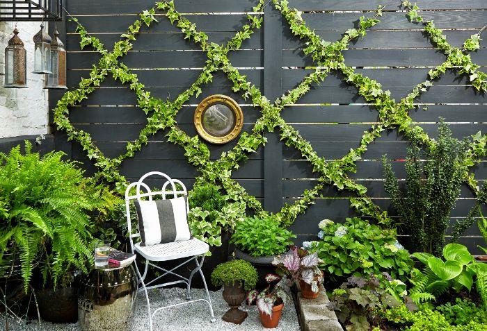 hiša ograja stena lesene deske črna barva in zelena girlanda lončnice in rastlinska postelja gramoz tla kovinski stol miza storitev