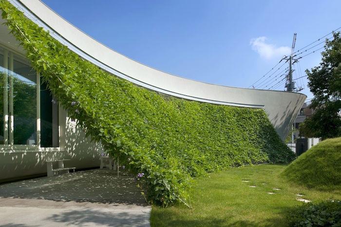 rastlinske zavese, ki služijo kot naravni senčnik in izviren pogled na veter za hišo