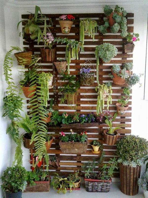 sieninis augalų padėklas, gėlių vazonų, įvairių rūšių augalų, pakabinamų augalų laikymas, gyvenamojo kambario vidaus apdaila