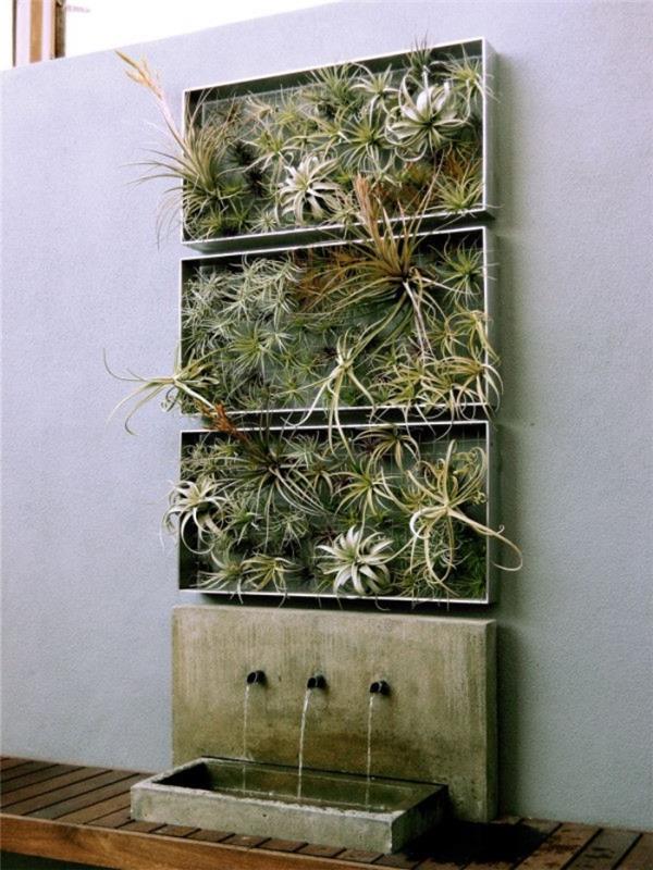 originalna rastlinska slika s slapom v betonu, izdelana s tremi rastlinskimi okvirji rastlin brez korenin