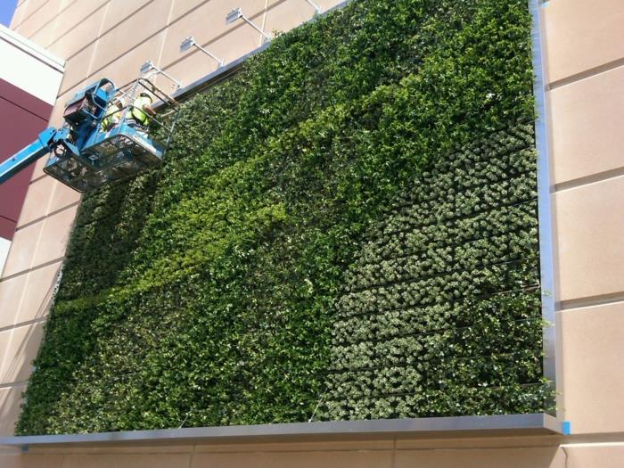 dış mekan bitki duvarı, kare şeklinde büyük alüminyum panel, yeşil bitki örtüsü, bu yeşil duvarı koruyan ekip, bu yeşil paneli aydınlatmak için uzun kollu beyaz spotlar