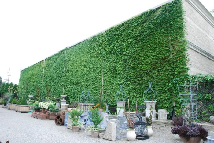 büyük bir çömlek ve taş vazo üretim binasının dış yeşil duvarı, dikey bahçe, açık gri duvarlar, yeşil duvar