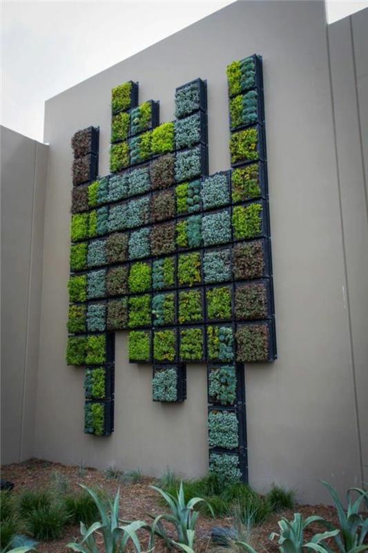 vertikalus auginimas ant kreminės baltos spalvos sodo pertvaros, kelių mažų plokščių su įvairiais žaliais atspalviais augalai, žalia siena padėkle, žalia siena