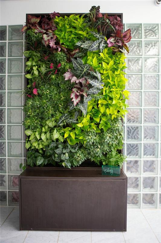 rėmas su gyvais augalais, surenkama žalia siena, interjero puošmena