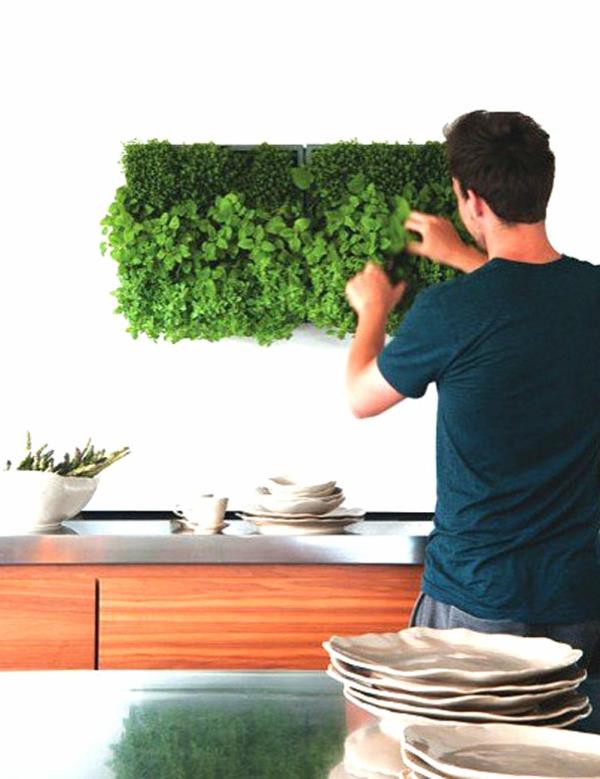 žalia siena-natūrali virtuvė