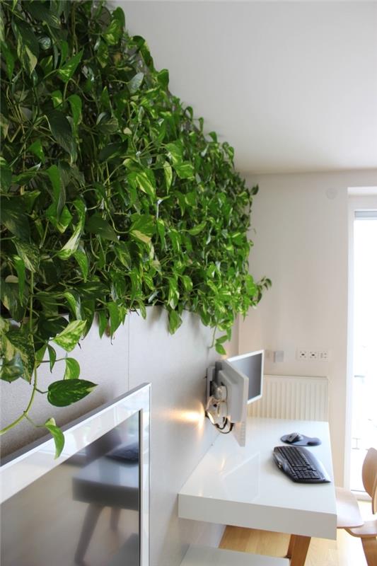 zelena stena postavitev domače pisarne leseni stol rastlina notranja dekoracija tipkovnica