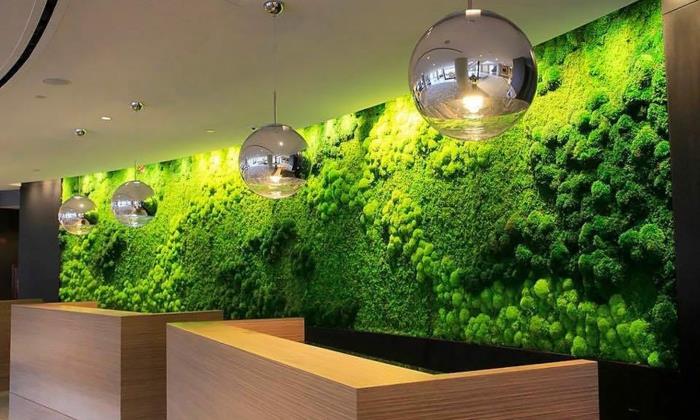 modernus interjeras su žalia siena, pakabinamomis gaublių lempomis, moderniais biurais