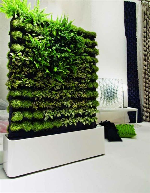 augalų interjero dekoravimas, originali augalų siena, baltas interjeras, dekoratyvinės pagalvėlės