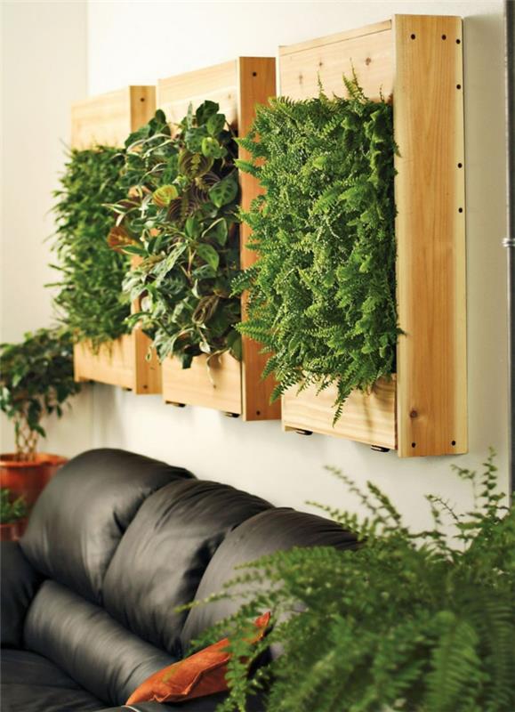 açık ahşap çerçeveli üç panel, palet yeşili duvar, yosun ve düşük yeşil bitkiler, iç yeşil duvar, siyah suni deri kanepeli oturma odası