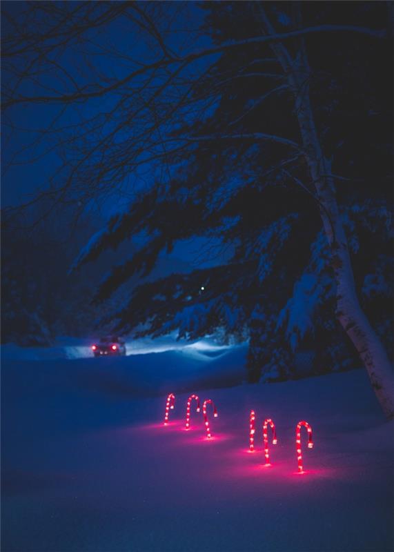 taşınabilir kilit duvar kağıdı için örnek yılbaşı manzarası, geceleri bir ormandaki karlı manzara fotoğrafı