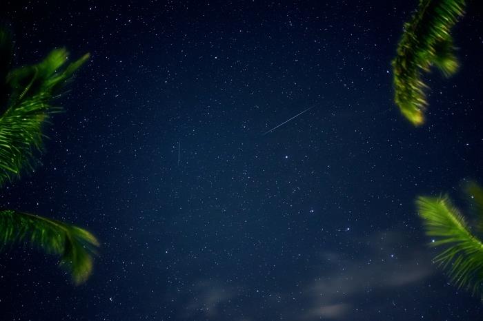 originalus kompiuterio ekrano užsklandos vaizdas, naktinio dangaus nuotrauka su žvaigždėmis ir palmių siluetai