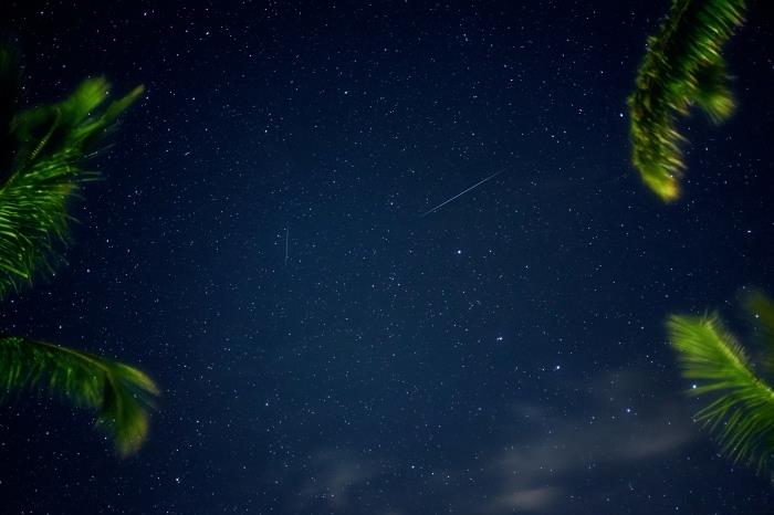 bilgisayar için orijinal duvar kağıdı resmi, yıldızlarla noktalı gece gökyüzünün fotoğrafı ve palmiye ağaçlarının siluetleri