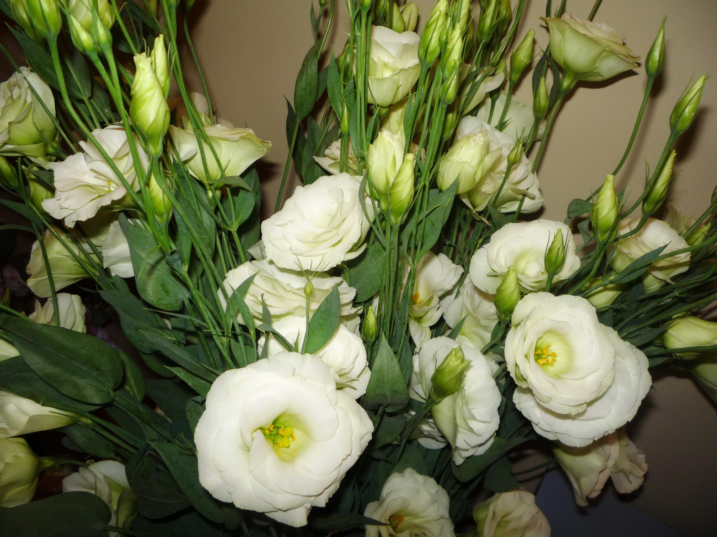 „Eustoma“ puokštė vazoje