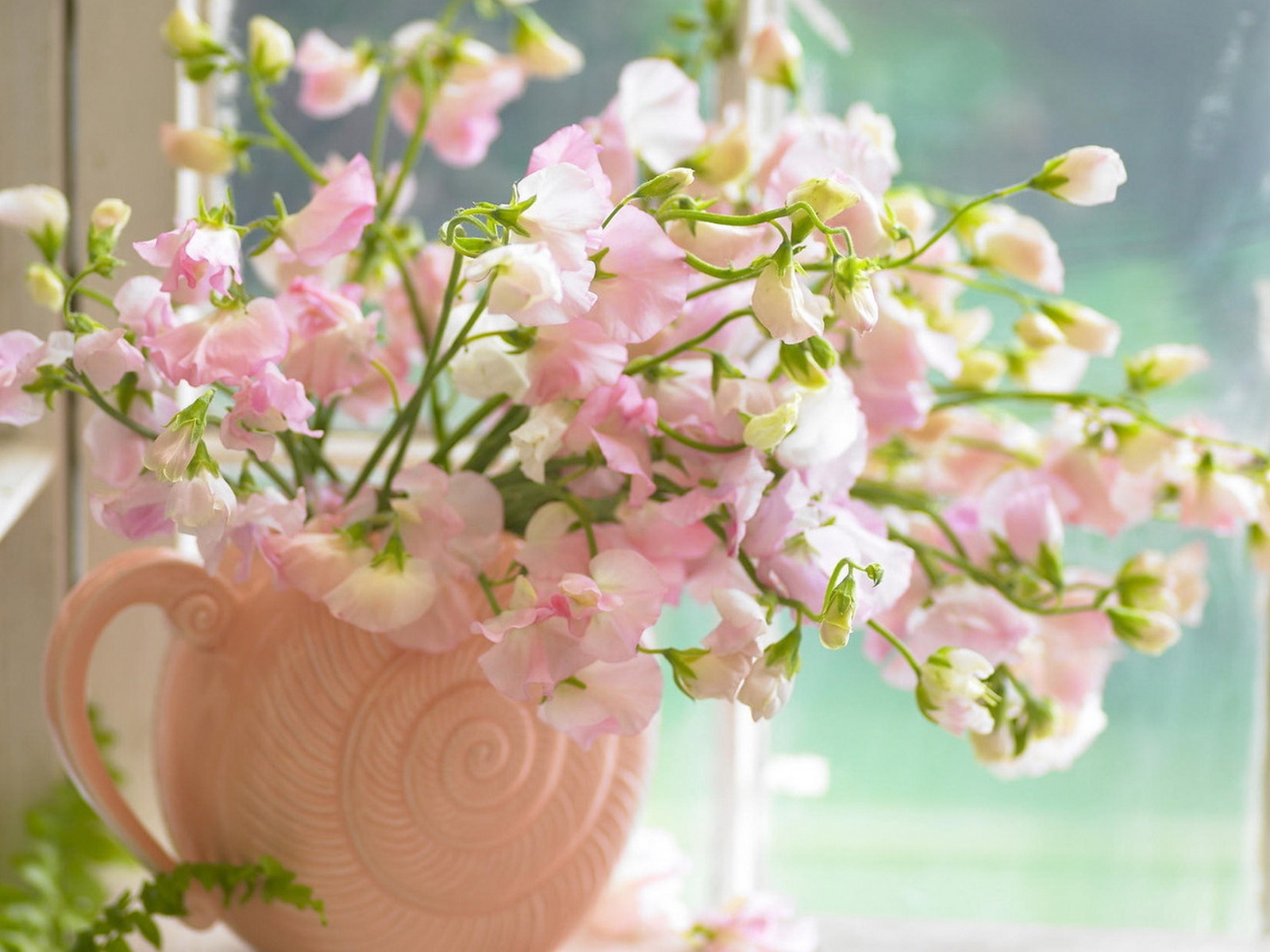 Delicados pétalos de rosa de lisianthus