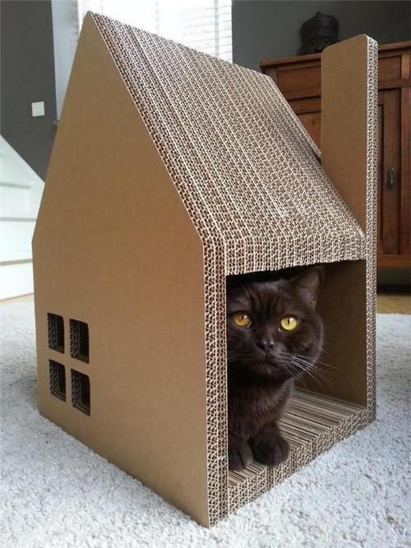 katės namai-katės namai ir draskymasis
