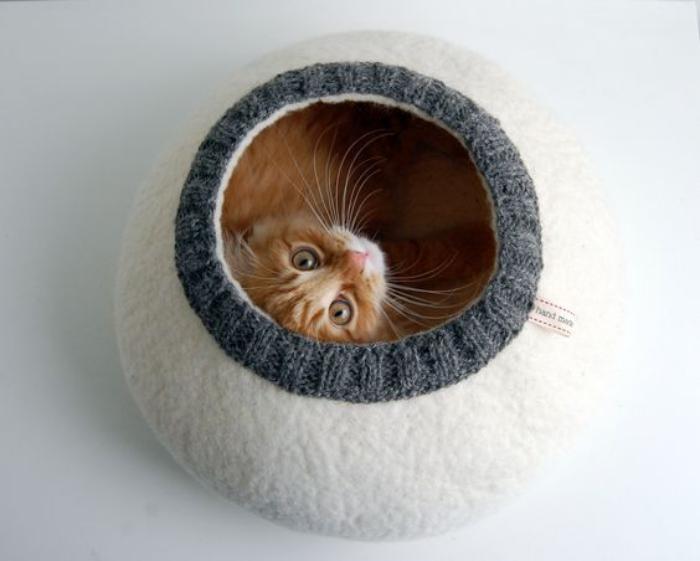 Simpatiškas-katės-kokono-katės namas