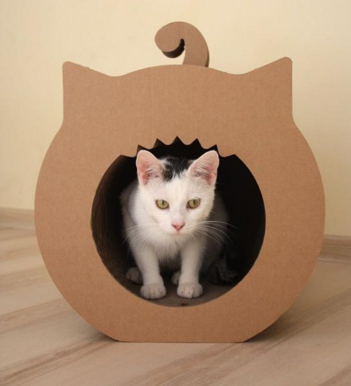 kartonas-katės namas-kūrybinis-katės namelis