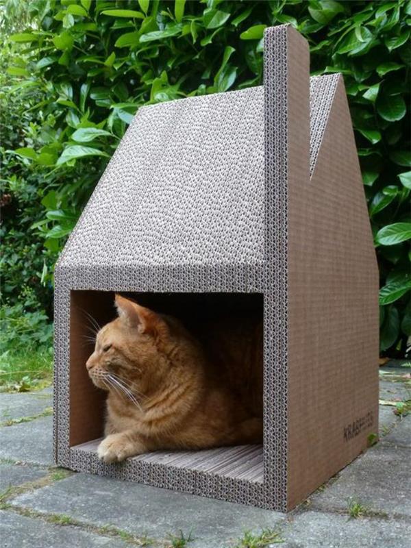 katės namai-katės namai-kartonas