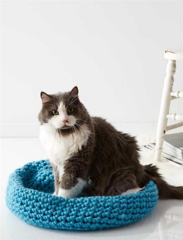 katės namas-lova-megztas-katinas-mėlynas