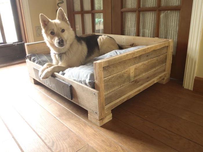köpekler ve köpek yavruları ve köpekler için palet kanepe yapın