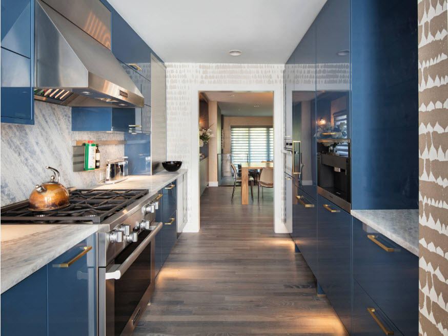 Mėlyna virtuvė