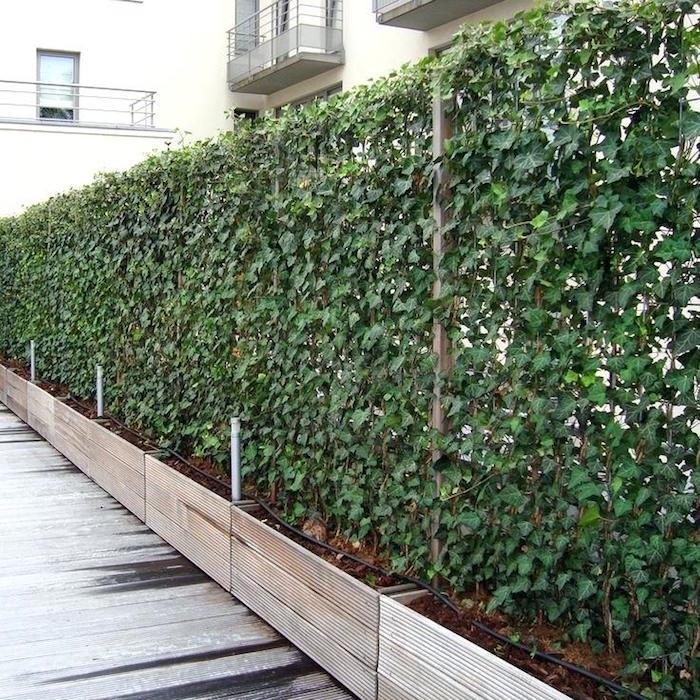 ideja o zeleni steni v lesenih sejalnicah za ločevanje in vetrič med apartmaji