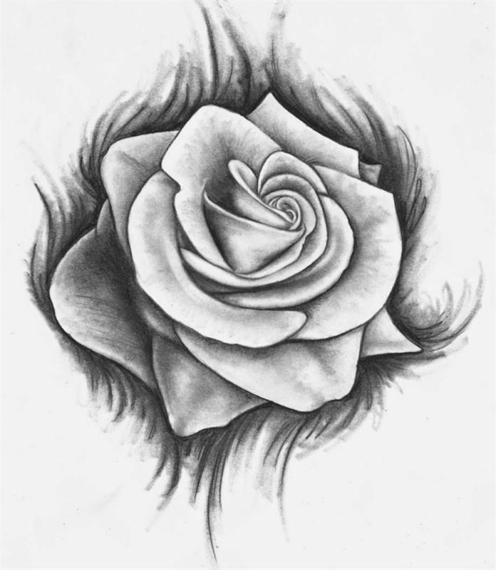 risba belo -črnega cvetličnega svinčnika, predloga za risanje odprte vrtnice s tehniko svetlobe in sence