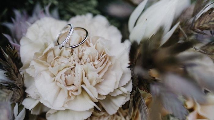Lepa fotografija cvetja potonike in dva poročna prstana v belem zlatu, diamantni poročni prstan za ženske