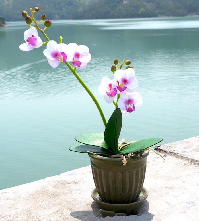 yapay-orkide-plastik-çiçek-yapay-bitkiler