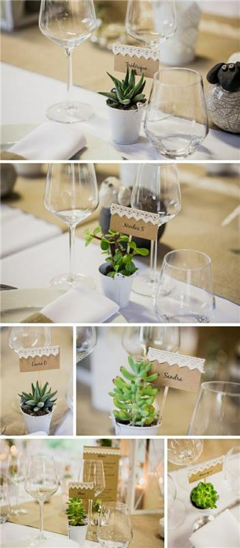 original-idea-deco-poročna-miza-z-zeleno-rastlino-poročna-miza-dekoracija-z-zelenimi-rastlinami v loncu