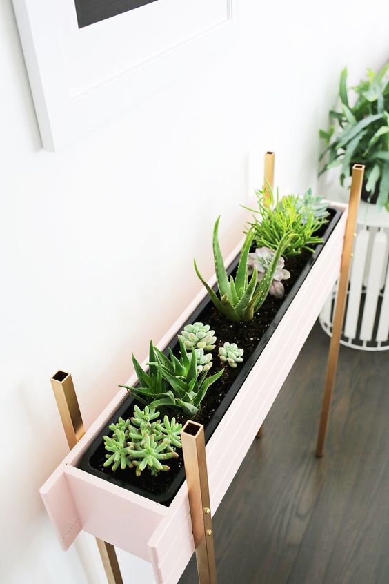 Plantas vivas na cozinha