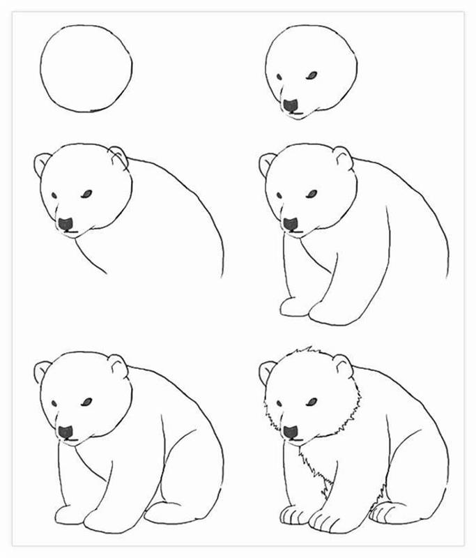 Nesrečen medved, fotografija za enostavno risanje, kako korak za korakom izrisati sliko medvedjega mladiča