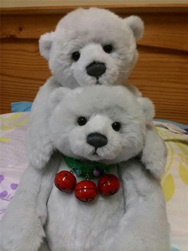 oyuncak-ayı-iki-büyüleyici-oyuncak-ayılar