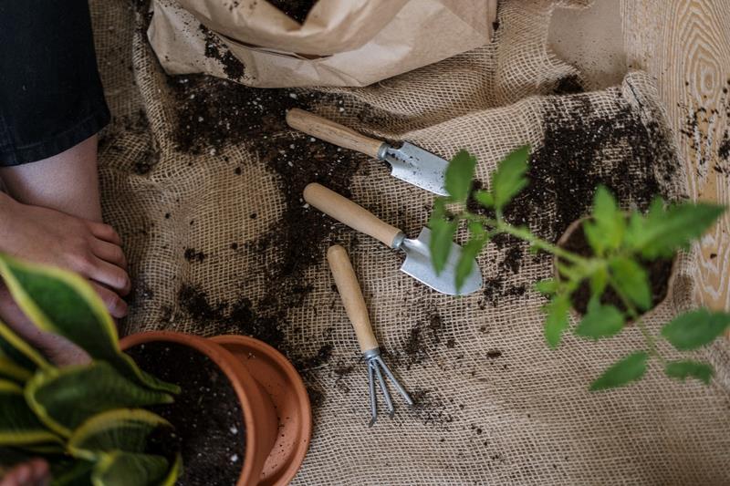 vrtnarsko orodje naravno gnojilo zelena rastlinska tla hranila