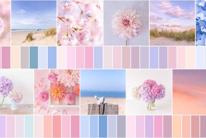 pastelinių spalvų paletė įvairių atspalvių pastelinės mėlynos rožinės violetinės oranžinės spalvos vandens žalia ir kt
