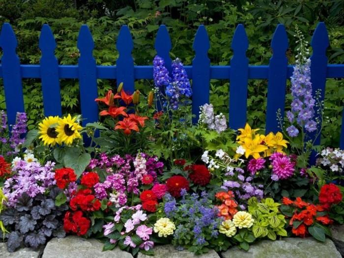 çivit mavisi bir çit, farklı çiçeklerden ve büyük taşlardan oluşan yatak, bahçe dehası fikri, pastoral ortam