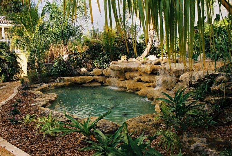 palma okoli bazena eksotične palme okoli bazena