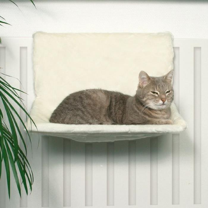 katės krepšelis-pigus-kačių krepšelis-pigus-katės gyvenimas-ant-atsipalaidavimo radiatorius