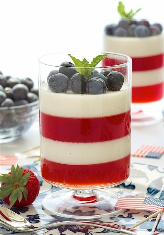 panna-cotta-kolay-verrine-ahududu jöle-ve-panna-cotta