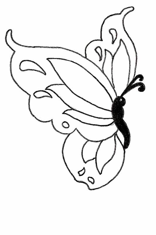 Drugelis skraidant vabzdžių gyvūnų piešinys, gražiausias drugelis pasaulyje