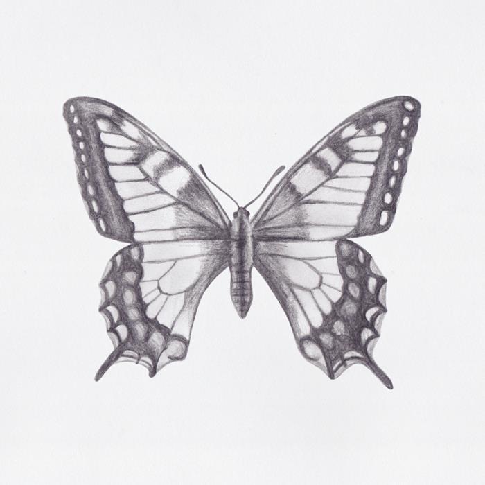 Kaip piešti drugelį juodu pieštuku, gražus drugelio piešinys, lengva piešti atkuriant žingsnis po žingsnio